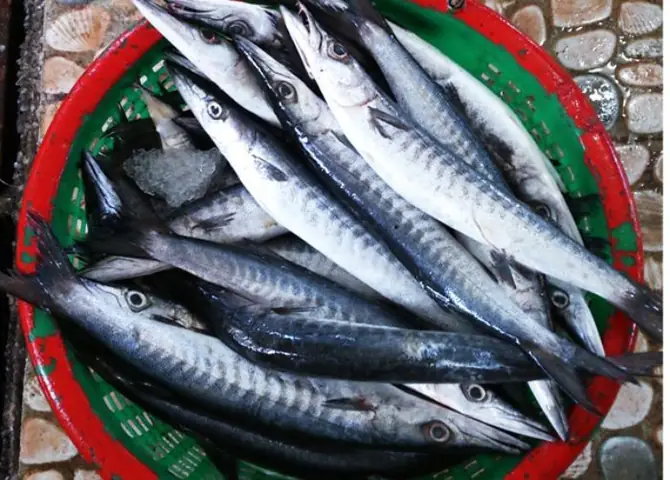 Canh Chua Cá Nhồng Thơm Ngon