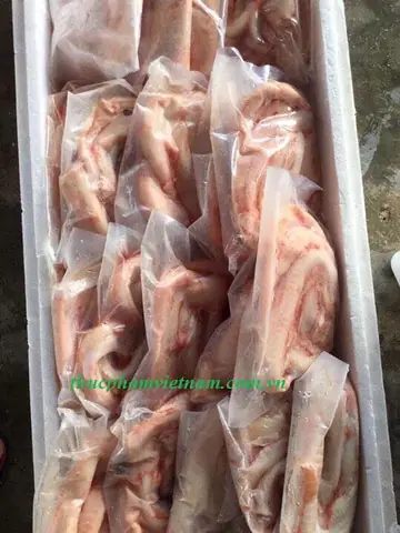 Hình Ảnh Cá Ninja