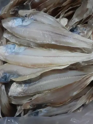 Hình Ảnh Cá Thờn Bơn: 100+ Bức Ảnh Đẹp, Độc Đáo Và Ý Nghĩa Trong Phong Thủy