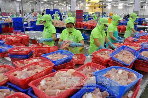 Ngay Đầu Năm 2017, Một Chương Trình Truyền Hình Ở Tây Ban Nha Đã Đưa Thông Tin Sai Sự Thật Về Quy Trình Nuôi Trồng Và Chế Biến Cá Tra Việt Nam, Khiến Một Nhà Bán Lẻ Châu Âu Quyết Định Ngừng Bán Cá Tra Việt Nam Và Người Tiêu Dùng Thuộc Liên Minh Châu Âu (eu) Hoang Mang.