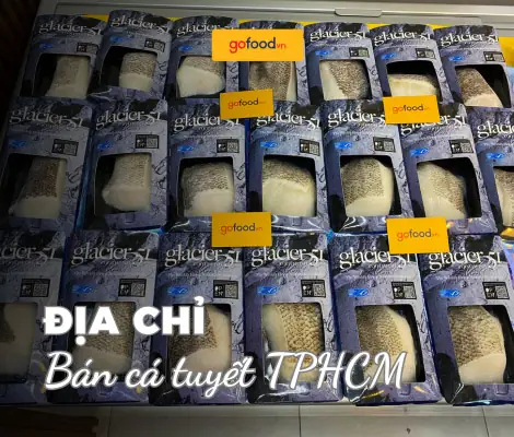 Hình Ảnh Các Loài Cá Nước Mặn
