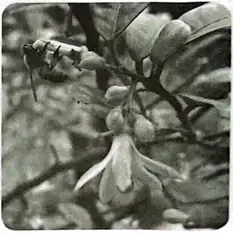 Media Vietjack