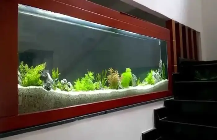 10+ Mẫu Hồ Cá Koi Hình Chữ Nhật Đẹp Hút Hồn