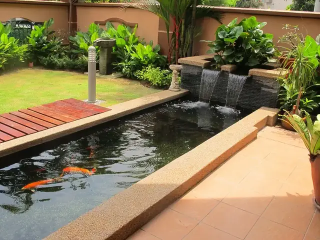 10+ Mẫu Hồ Cá Koi Hình Chữ Nhật Đẹp Hút Hồn