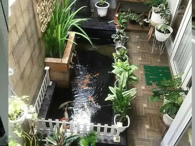 # Top 10+ Mẫu Hồ Cá Koi Hình Chữ Nhật Đẹp Hút Hồn Ai Nhìn Cũng Mê