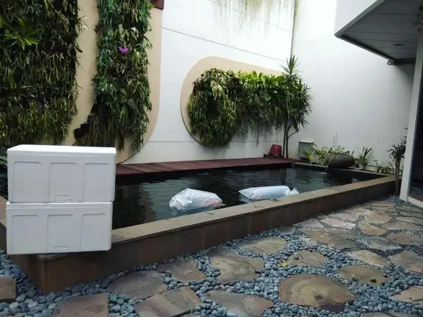 10+ Mẫu Hồ Cá Koi Hình Chữ Nhật Đẹp Hút Hồn