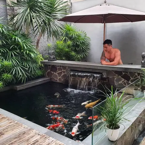 10+ Mẫu Hồ Cá Koi Hình Chữ Nhật Đẹp Hút Hồn