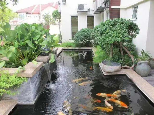 10+ Mẫu Hồ Cá Koi Hình Chữ Nhật Đẹp Hút Hồn