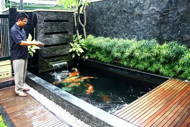 Điều Cơ Bản Khi Thiết Kế Hồ Cá Koi Hình Chữ Nhật