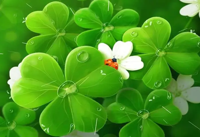 Avatar Cỏ Bốn Lá Tinh Tế