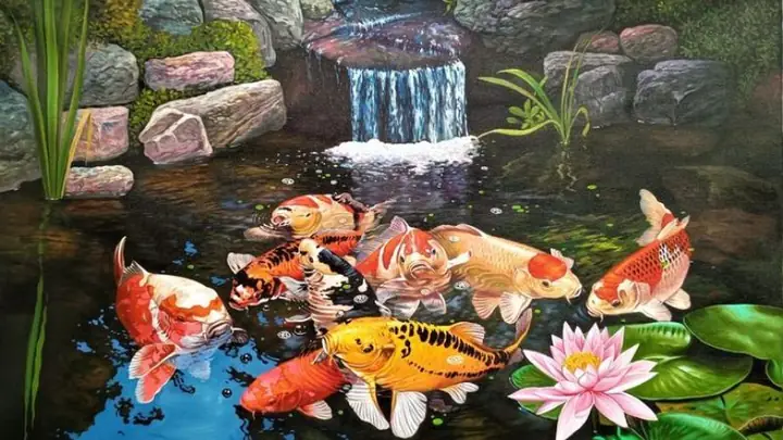 Hình Nền Cá Chép Hoa Sen Full Hd 4k Cho Máy Tính