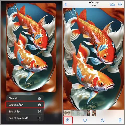 Cách Tải Hình Nền Cá Koi Cho Iphone