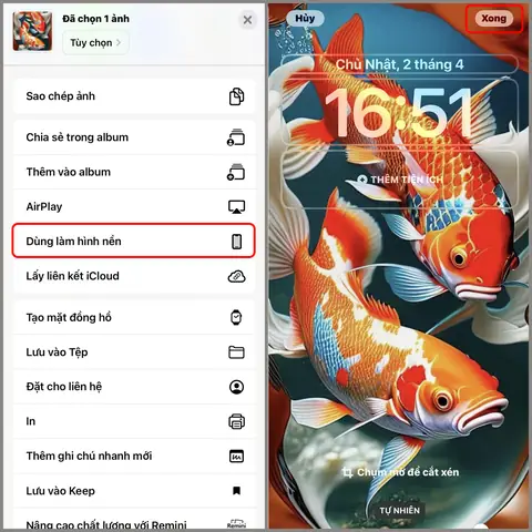 Cách Tải Hình Nền Cá Koi Cho Iphone