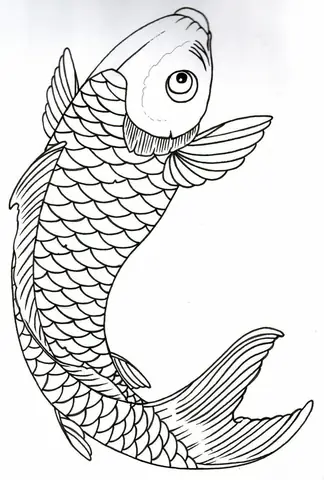 Hình Vẽ Cá Chép Đẹp Nhất