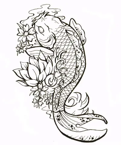 Hình Vẽ Cá Chép Đẹp Nhất