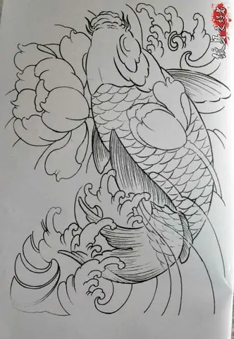 Hình Ảnh Cho Hình Vẽ Cá Chép Hóa Rồng Đơn Giản: Hình Ảnh Cho Hình Vẽ Cá Chép Hóa Rồng Đơn Giản:
