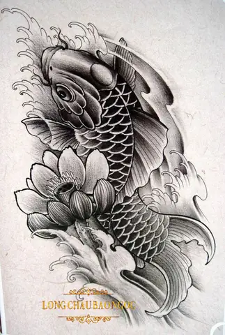 Hình Ảnh Cho Hình Vẽ Cá Chép Hóa Rồng Đơn Giản: Hình Ảnh Cho Hình Vẽ Cá Chép Hóa Rồng Đơn Giản: