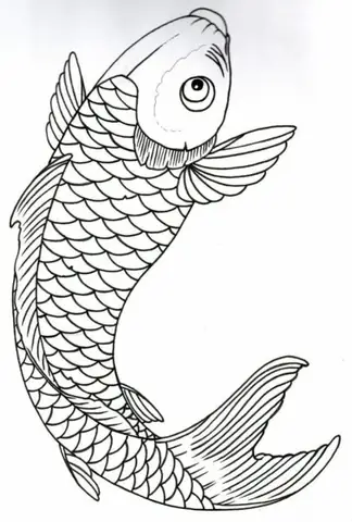Hình Ảnh Cho Hình Vẽ Cá Chép Hóa Rồng Đơn Giản: Hình Ảnh Cho Hình Vẽ Cá Chép Hóa Rồng Đơn Giản:
