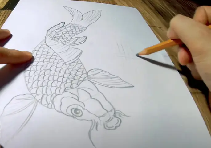 Hình Ảnh Cho Hình Vẽ Cá Chép Hóa Rồng Đơn Giản: Hình Ảnh Cho Hình Vẽ Cá Chép Hóa Rồng Đơn Giản: