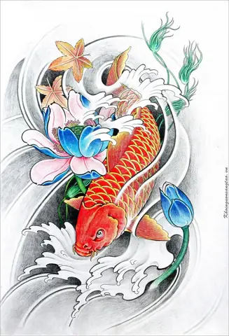 Hình Ảnh Cho Hình Vẽ Cá Chép Hóa Rồng Đơn Giản: Hình Ảnh Cho Hình Vẽ Cá Chép Hóa Rồng Đơn Giản:
