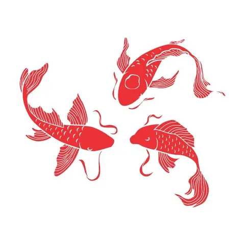 Tổng Hợp Các Mẫu Hình Vẽ Cá Koi Đẹp Nhất Cho Áo Dài, Tranh, Sơn Móng Và Xăm