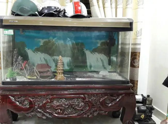 Cấu Tạo Của Bể Cá Đúc