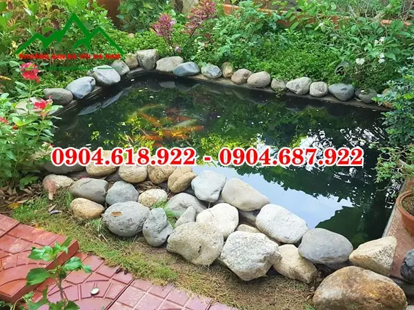 Cách Trang Trí Hồ Cá Bằng Đá Cuội Tự Nhiên