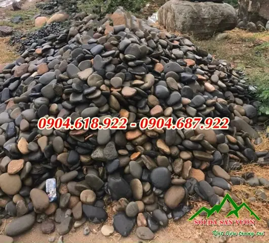 Các Loại Đá Cuội Sử Dụng Làm Hồ Cá