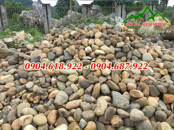 Các Loại Đá Cuội Sử Dụng Làm Hồ Cá