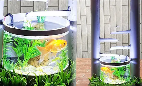 Hồ Cá Bằng Nhựa: Giải Pháp Lý Tưởng Cho Người Yêu Cá Cảnh