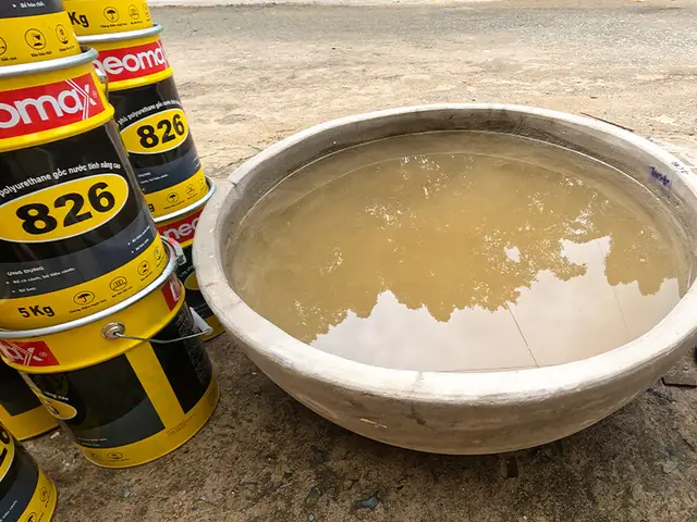 Tại Sao Hồ Cá Koi Bị Thấm Nước?