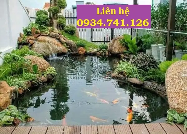Hướng Dẫn Thiết Lập & Bảo Dưỡng Hệ Thống Lọc Nước Hồ Cá Cảnh Đà Nẵng