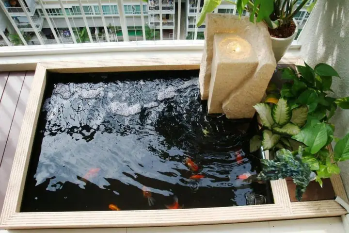 25 Máº«u Tiá»u Cáº£nh Há» Cã¡ Äáº¹p Nháº¥t Hiá»n Nay
