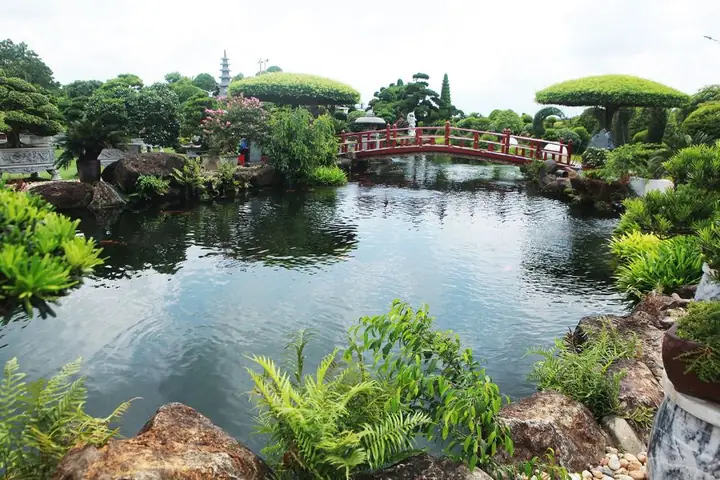 Káº¿t Há»£p Cã¢y Xanh Vã Äã¡ Trang Trã­