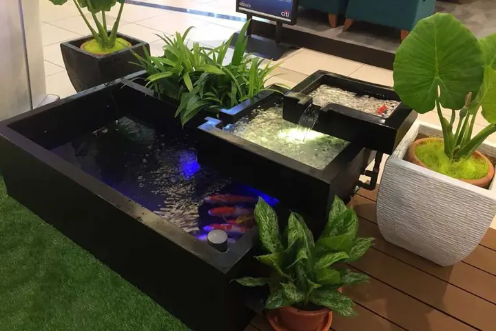 25 Máº«u Tiá»u Cáº£nh Há» Cã¡ Äáº¹p Nháº¥t Hiá»n Nay
