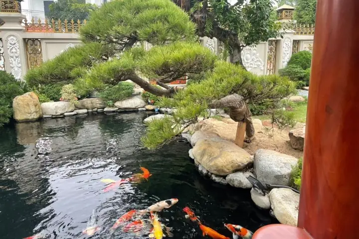 Há» Cã¡ Sã¢n Væ°á»n