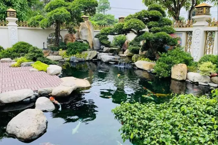 25 Máº«u Tiá»u Cáº£nh Há» Cã¡ Äáº¹p Nháº¥t Hiá»n Nay