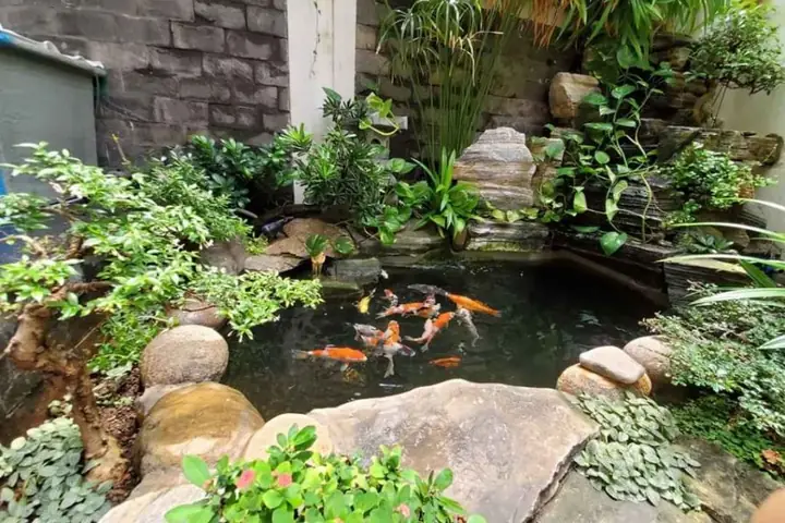 Há» Cã¡ Káº¿t Há»£p Vá»i Hã²n Non Bá»