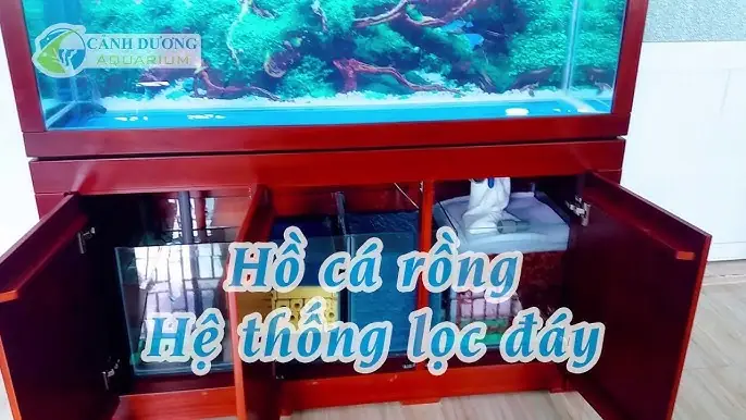 Sưởi Nước Hồ Cá Cảnh Ista Fixed Temperature Heater: Cẩm Nang Toàn Tập Từ A-z