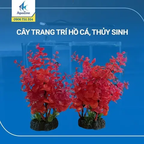 Sưởi Nước Hồ Cá Cảnh Ista Fixed Temperature Heater: Cẩm Nang Toàn Tập Từ A-z