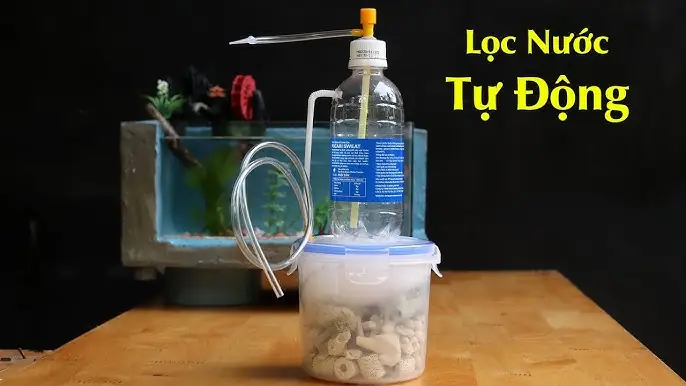 Hướng Dẫn Làm Hồ Cá Mini Từ Chai Nhựa: Tái Chế Sáng Tạo Và Trang Trí Độc Đáo