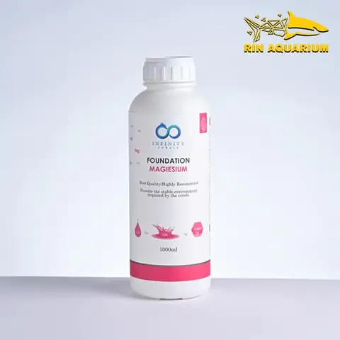 Hướng Dẫn Làm Hồ Cá Mini Từ Chai Nhựa: Tái Chế Sáng Tạo Và Trang Trí Độc Đáo