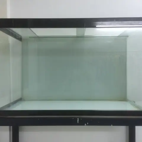 Hồ Cá Có Kiềng: Lựa Chọn Hoàn Hảo Cho Không Gian Sống Hiện Đại
