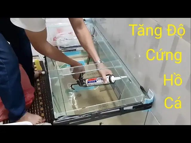 Hồ Cá Có Kiềng: Lựa Chọn Hoàn Hảo Cho Không Gian Sống Hiện Đại Hồ Cá Có Kiềng: Lựa Chọn Hoàn Hảo Cho Không Gian Sống Hiện Đại