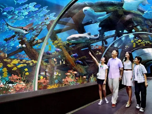 Đây Là Địa Điểm Lý Tưởng Để Gia Đình, Đặc Biệt Là Trẻ Nhỏ, Tìm Hiểu Về Hệ Sinh Thái Biển Và 3. Không Gian Tuyệt Vời Để Nghỉ Ngơi Và Check-in