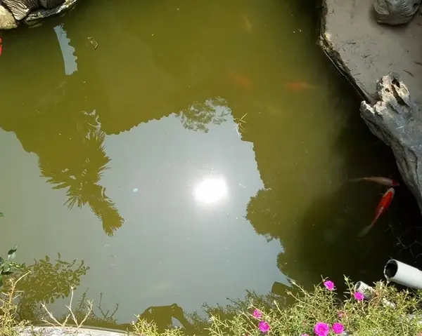 Hồ Cá Dốc Trời
