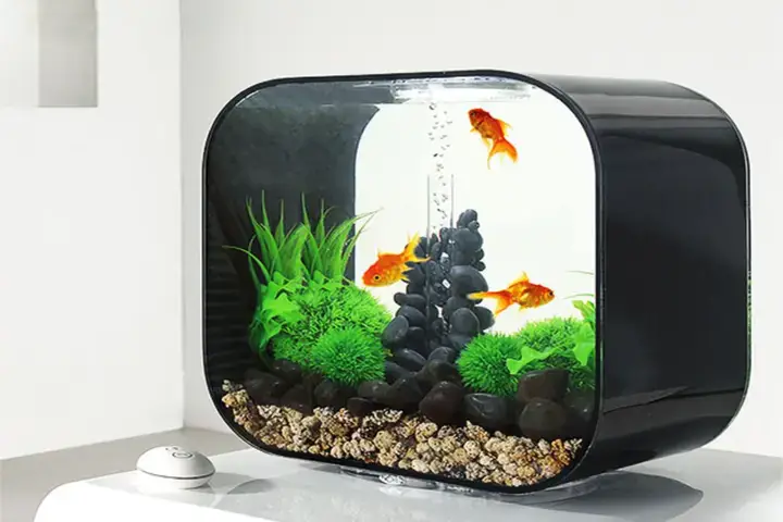 Hồ Cá Đứng Mini Là Gì Và Tại Sao Lại Thu Hút?