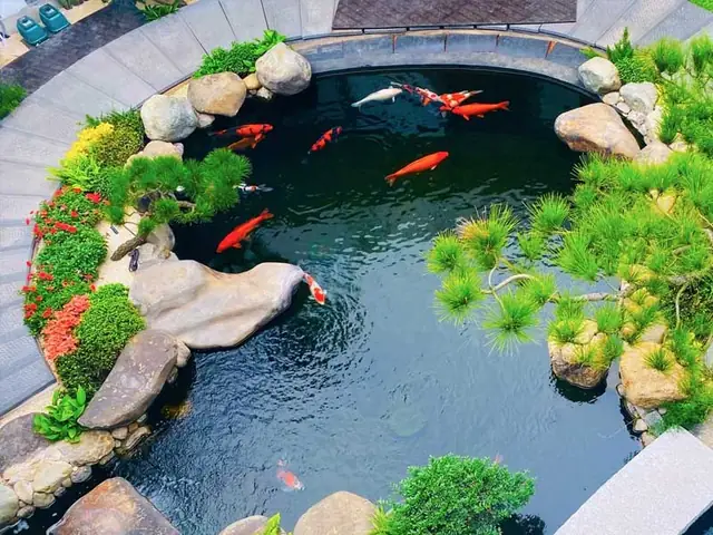 Cách Tính Thể Tích Hồ Cá Hình Tròn