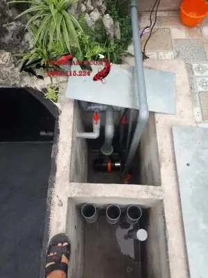 Bước 6: Xây Hồ Và Hệ Thống Lọc