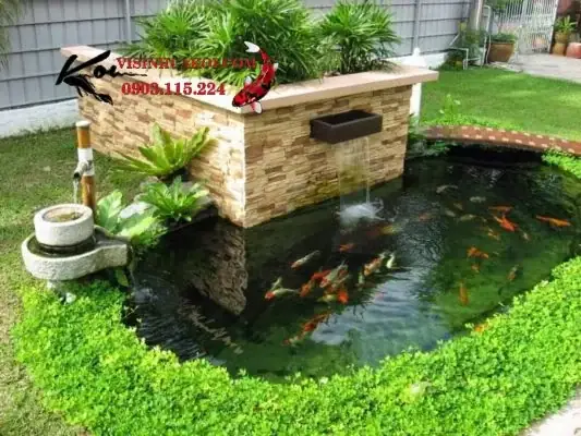 Thiết Kế Hồ Cá Koi Đẹp